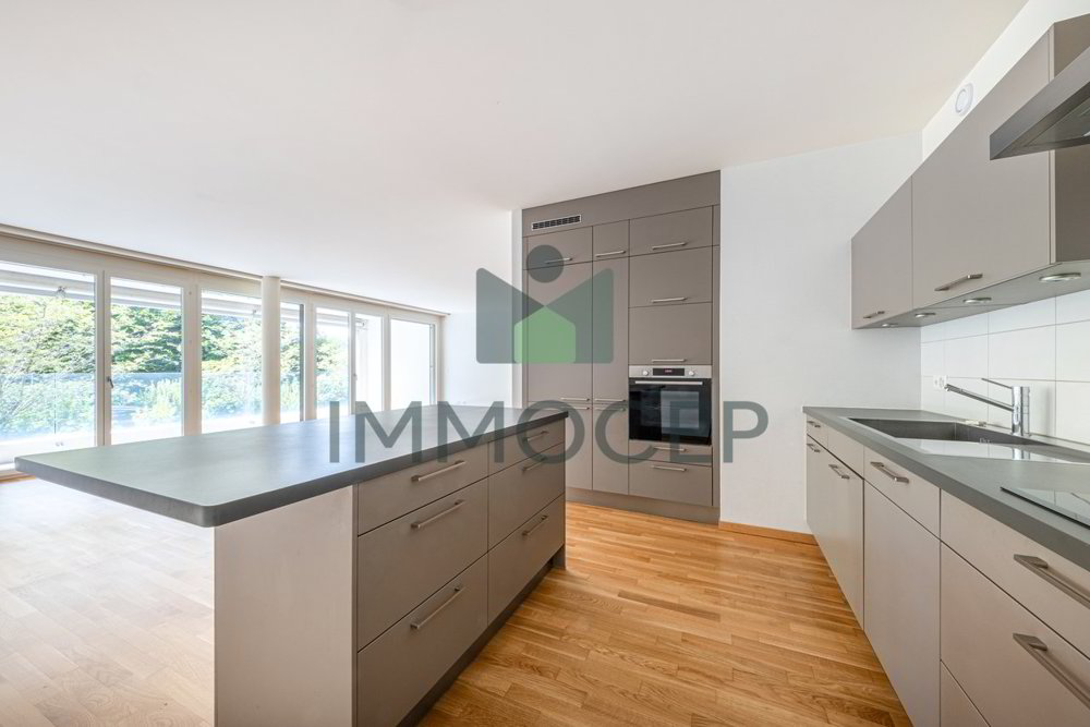 Wohnung – Carouge GE - Ansicht 4