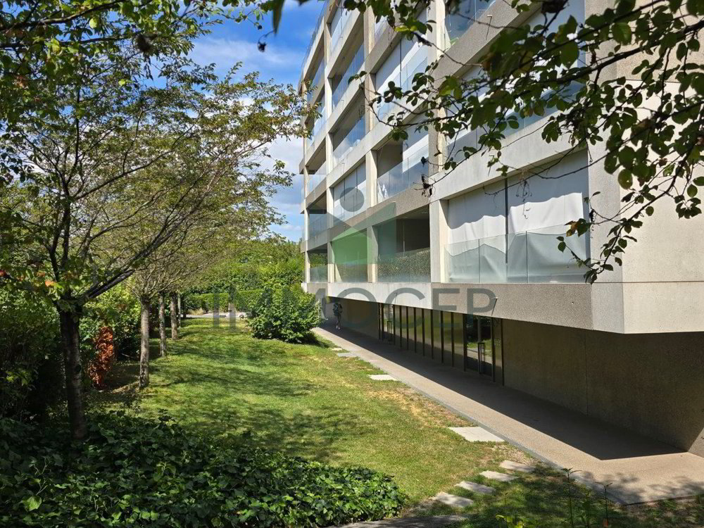 5 rooms Apartment to buy in Carouge GE - image 1/9