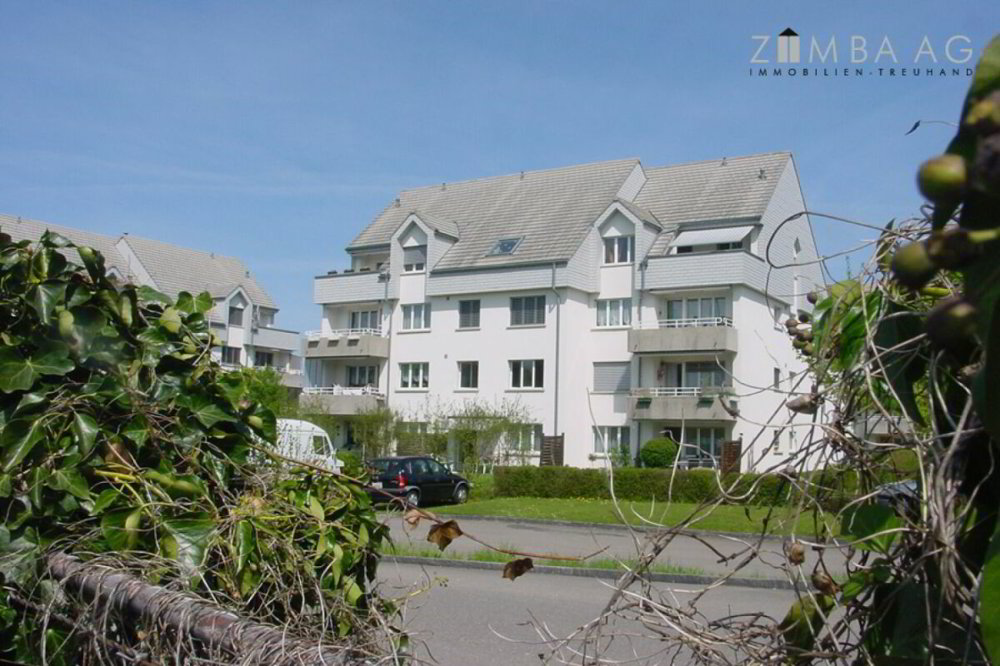 3 Zimmer Wohnung zu vermieten in Amriswil - Bild 1/4