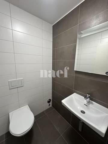 3.5 Zimmer Wohnung zu vermieten in Le Landeron - Bild 1/8