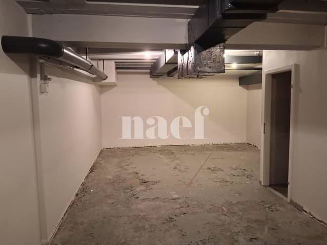 null rooms Office & Commercial for rent in Geneva - image 1/2