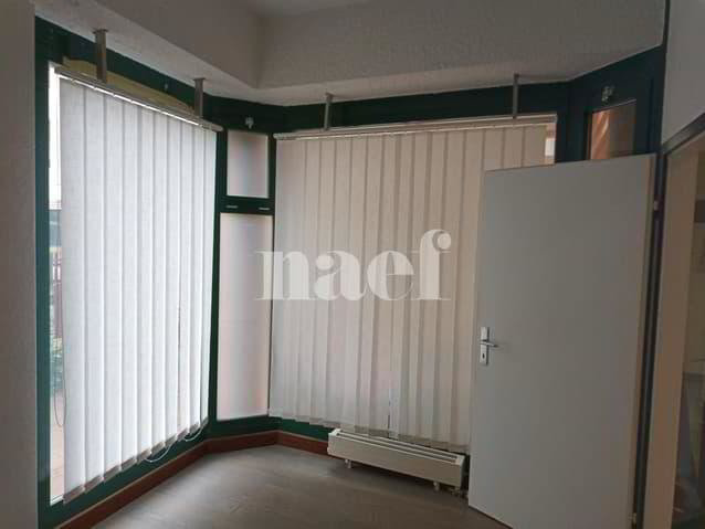 null rooms Office & Commercial for rent in Geneva - image 1/8