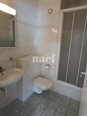 5 Zimmer Wohnung zu vermieten in Genf - Bild 1/8