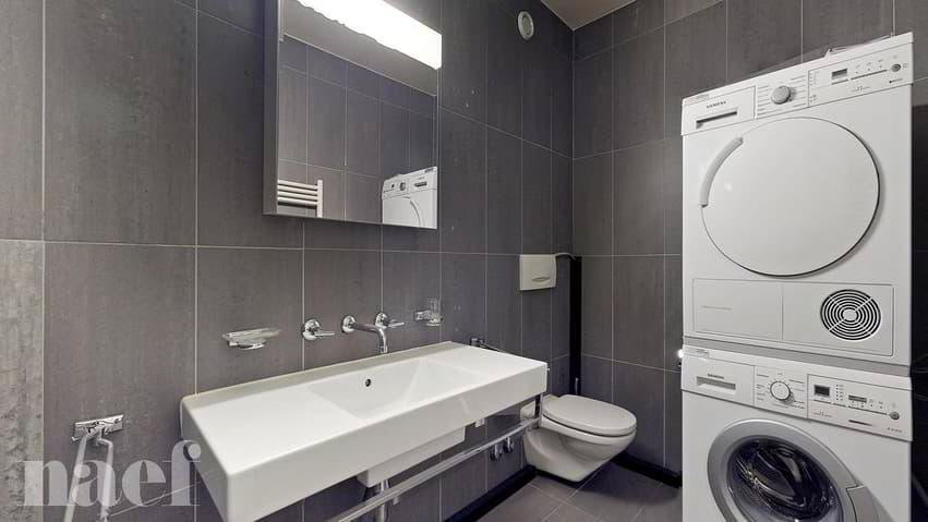 6 Zimmer Wohnung zu vermieten in Carouge GE - Bild 1/13