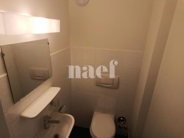 3 Zimmer Wohnung zu vermieten in Carouge GE - Bild 1/7