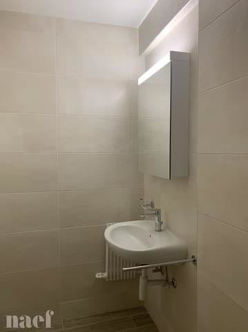 2.5 rooms Apartment for rent in La Chaux-de-Fonds - image 1/12