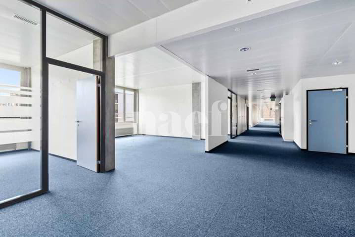Résidence de Précossy - Magnifique surface modulable d'env. 333 m² au... - Ansicht 3