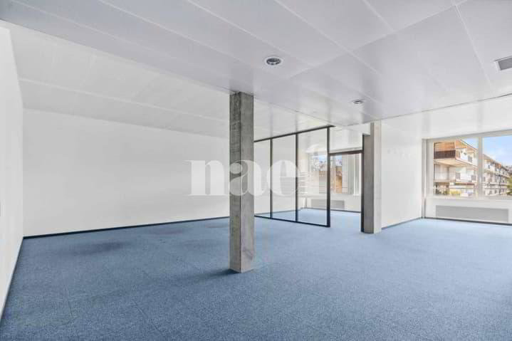 Résidence de Précossy - Magnifique surface modulable d'env. 333 m² au... - Ansicht 4