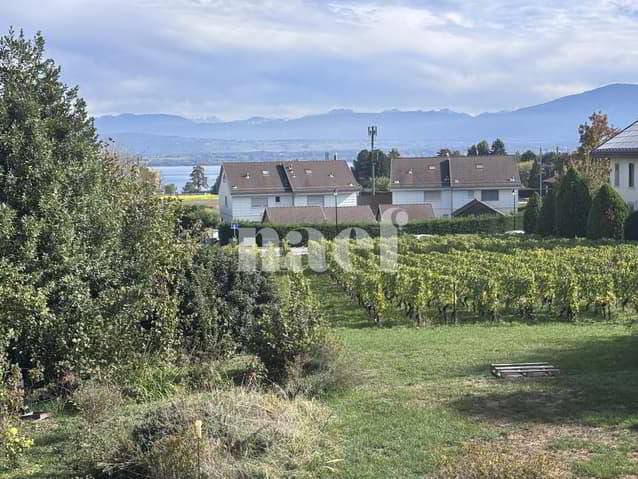 4 rooms Apartment for rent in Founex - image 1/12