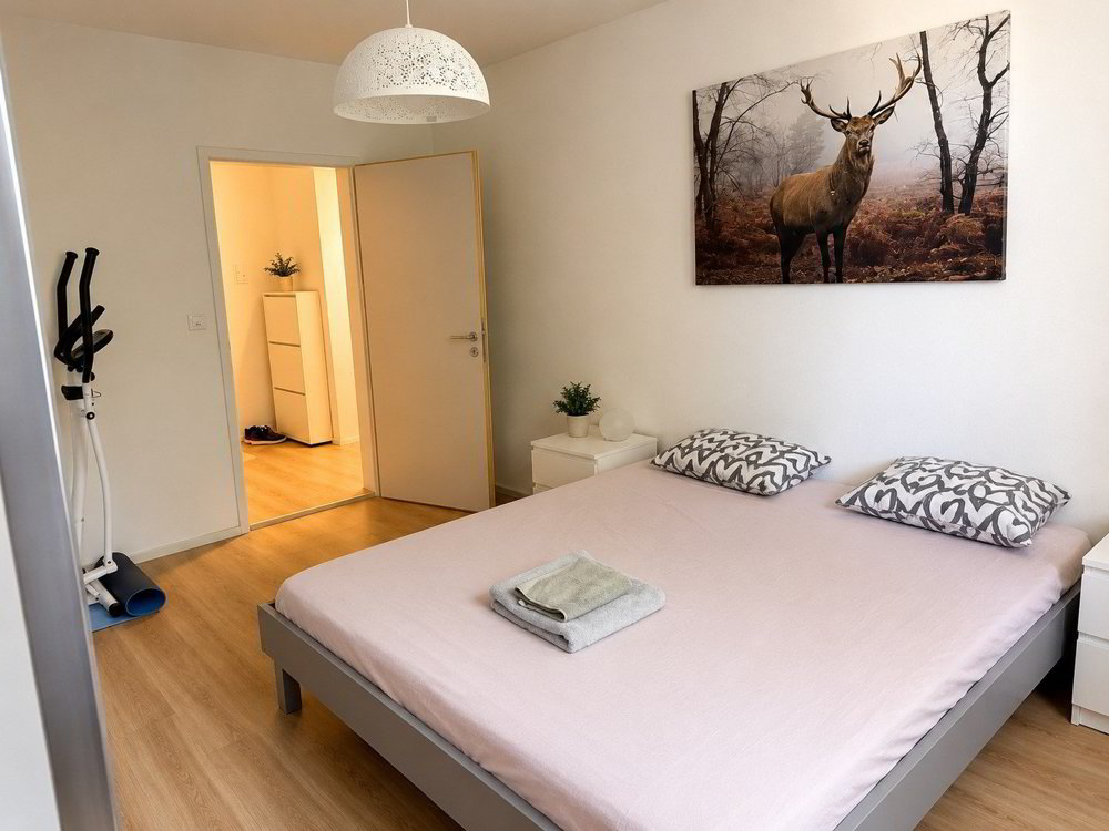 Wohnung – Zürich, Gewerbeschule, Industriequartier - Ansicht 4