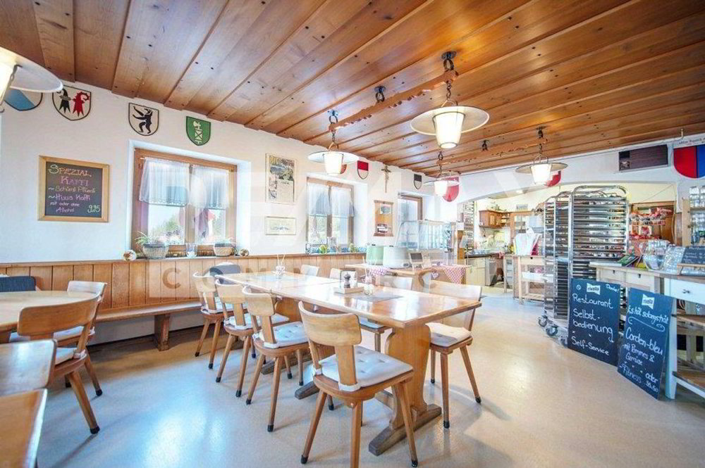 Hôtel de 10 pièces en vente à Rigi Scheidegg - 265 m² - Ansicht 5