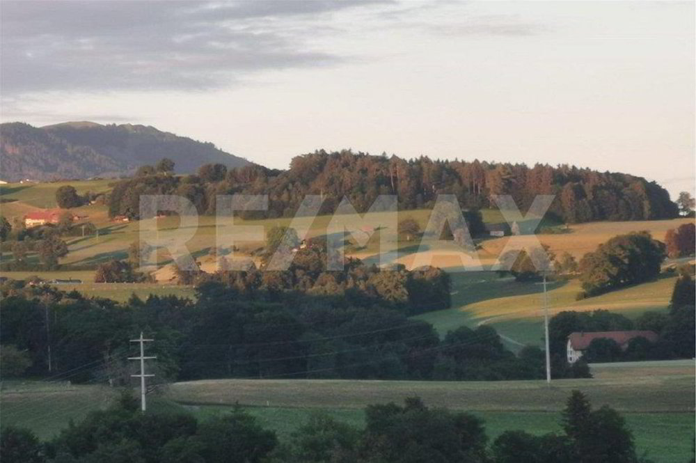 Terrain à bâtir en vente à Alterswil FR - Ansicht 4