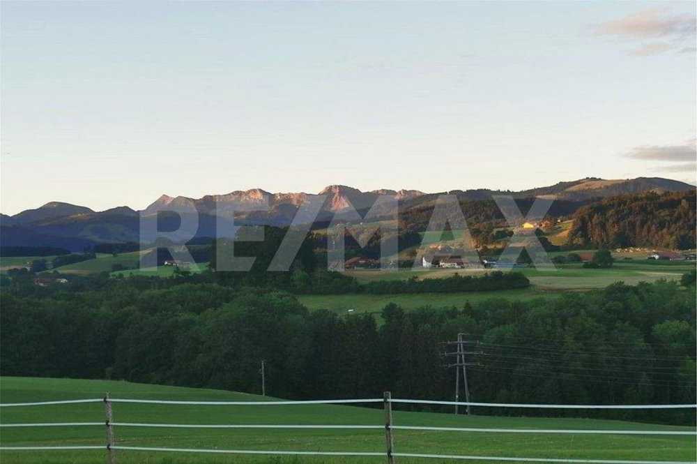 Terrain à bâtir en vente à Alterswil FR - Ansicht 5