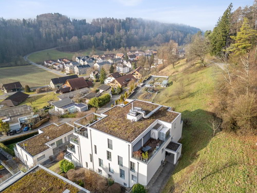 Appartement 3.5 pièces à acheter à Stallikon - image 1/5