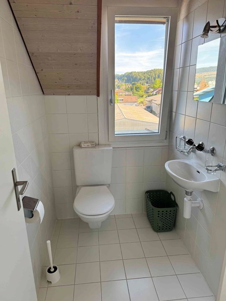 3.5 rooms Apartment for rent in Breitenbach - image 1/8
