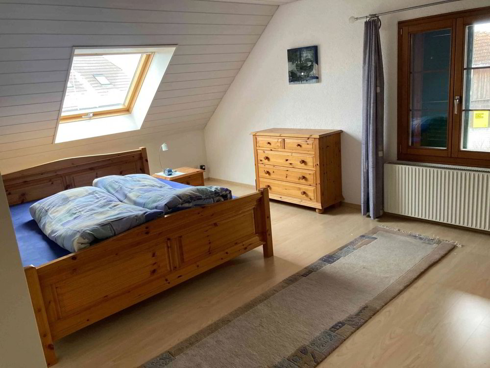 9.5 rooms Apartment for rent in Recherswil - image 1/12