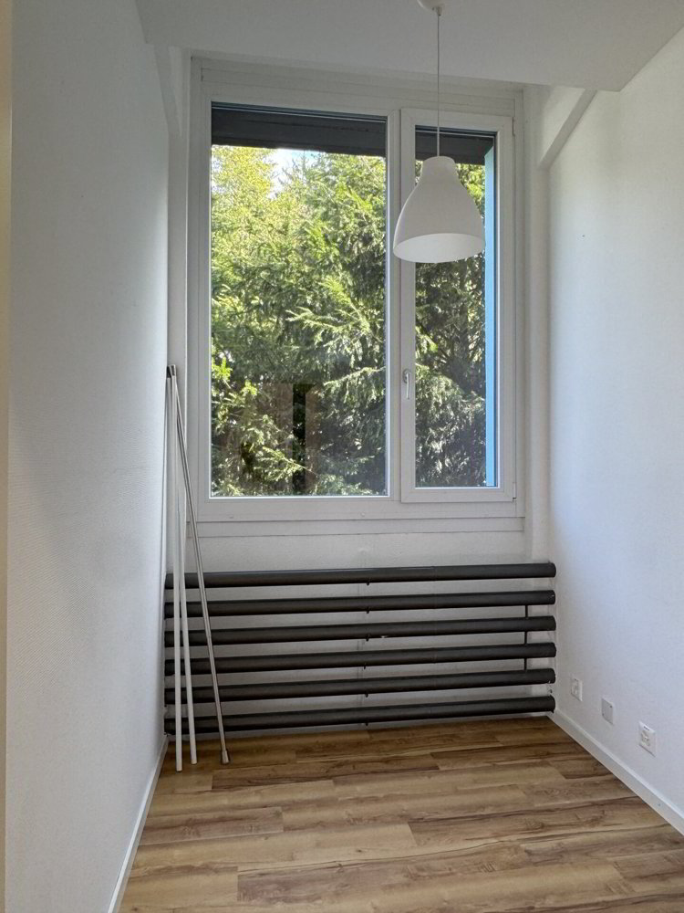 5 Zimmer Wohnung zu vermieten in Liestal - Bild 1/20