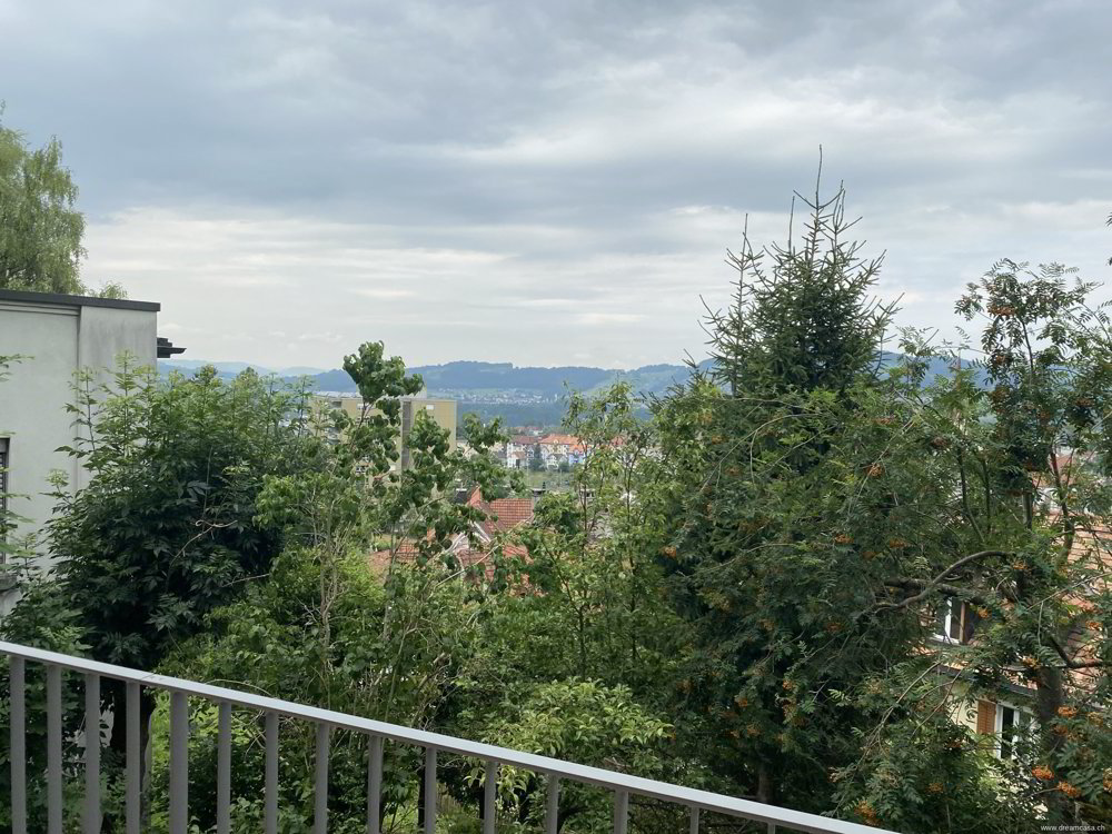 Wohnung – St. Gallen - Mehr