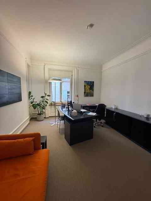 7 rooms Office & Commercial for rent in Zürich - image 1/9