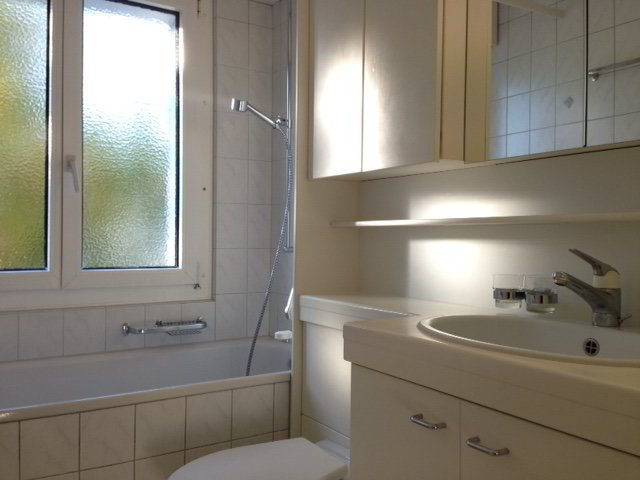 Appartement 2 pièces à louer à Oberkirch LU - image 1/6