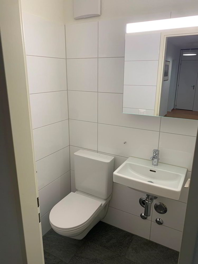 Appartamento di 3 locali in affitto a Oberglatt ZH - immagine 1/5