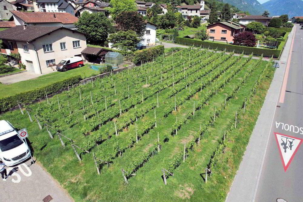 Terrain à bâtir en vente à Gorduno - Ansicht 3
