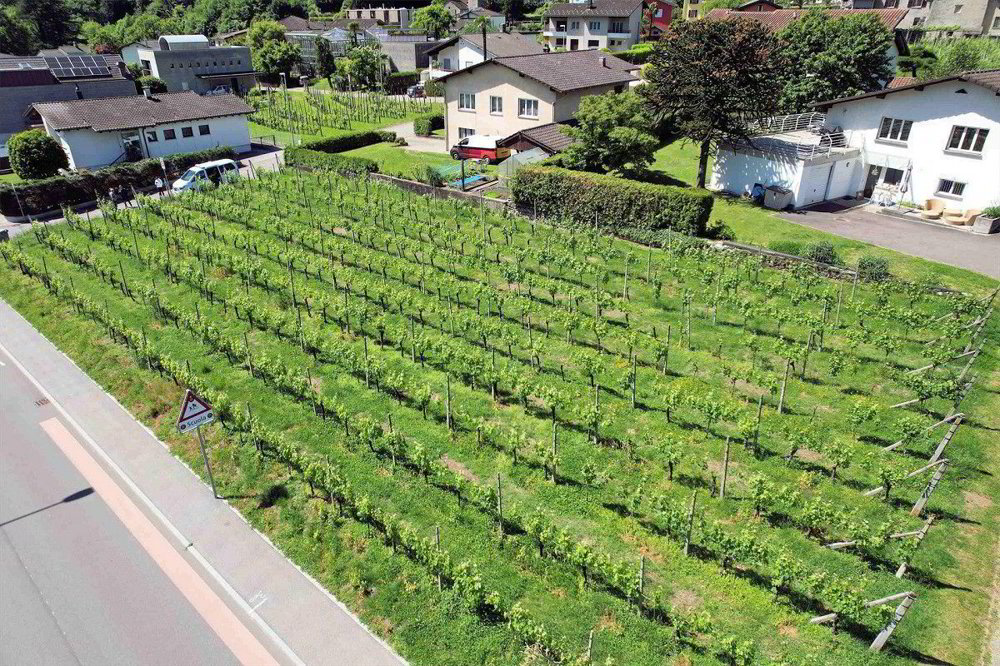Terrain à bâtir en vente à Gorduno - Ansicht 5