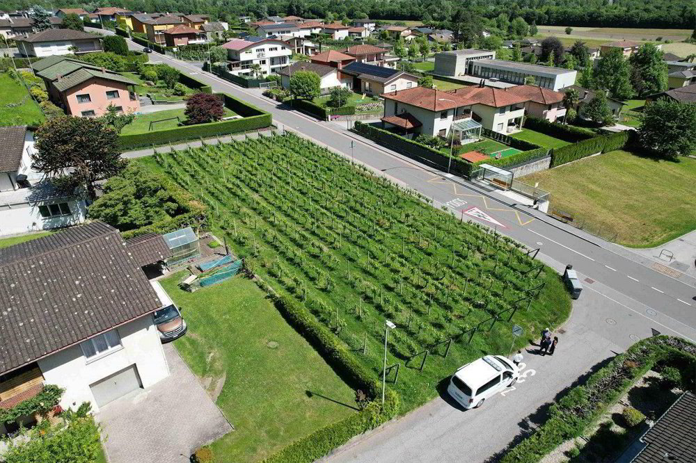 Terrain à bâtir en vente à Gorduno - Mehr