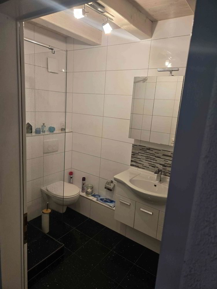 1 rooms Flat-sharing for rent in San Gallo - image 1/7