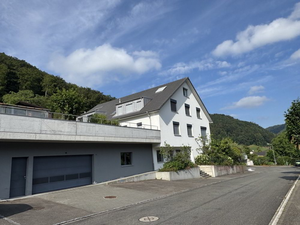4.5 Zimmer Wohnung zum verkaufen in Oberdorf BL - Bild 1/20