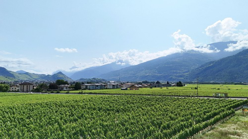 5 rooms House to buy in Vétroz - image 1/13
