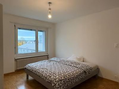 Wohnung – Dübendorf - Mehr