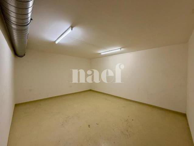 null rooms Office & Commercial for rent in Genève - image 1/4