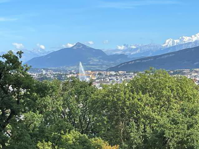 5 Zimmer Wohnung zum verkaufen in Geneva - Bild 1/4