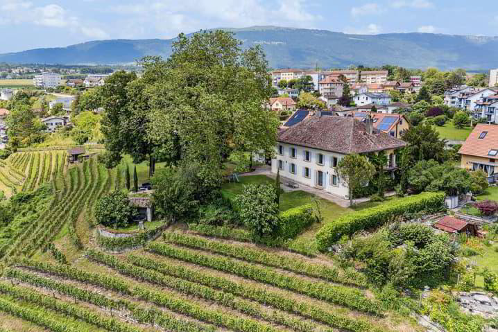 Haus – Orbe, District du Jura-Nord vaudois - Ansicht 2