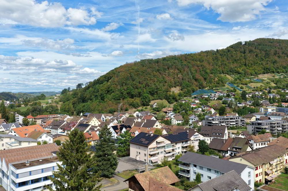 3.5 rooms Apartment to buy in Oberdorf BL - image 1/9