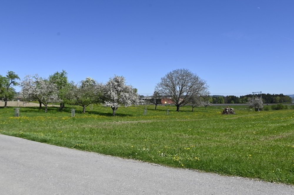 Wohnung – Uzwil, Buech - Mehr