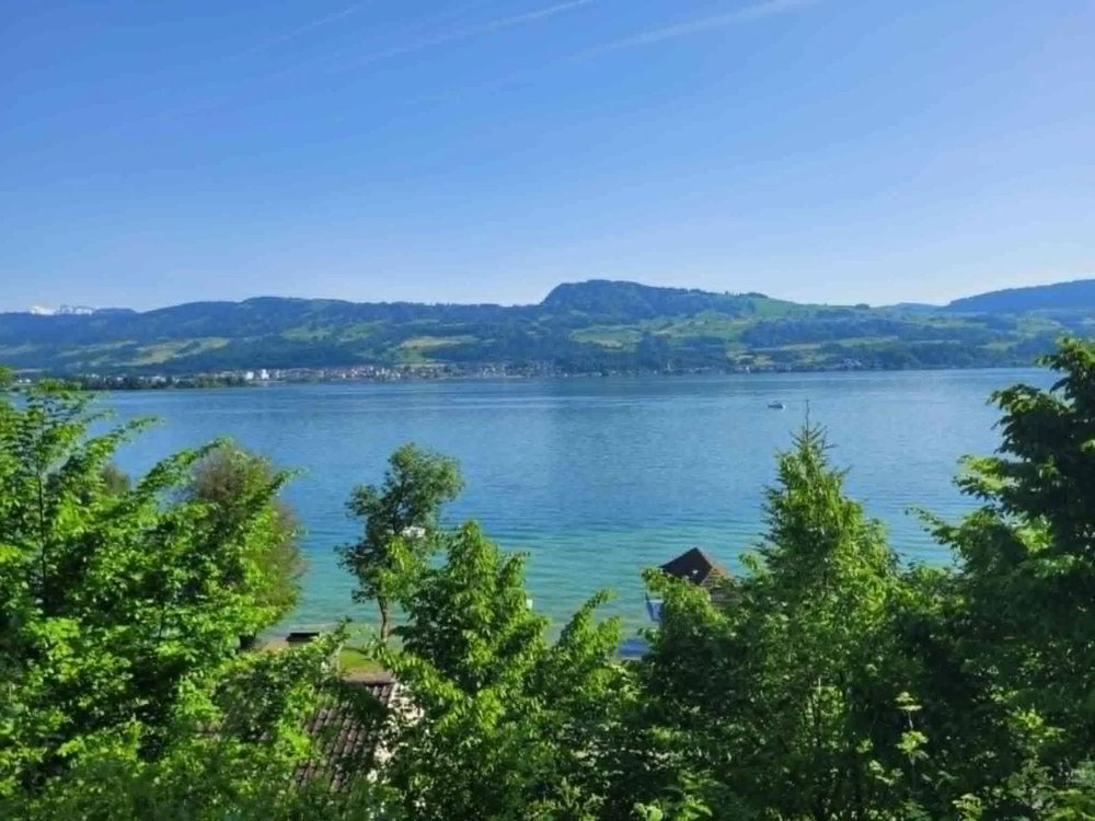 Wohnung – Uerikon