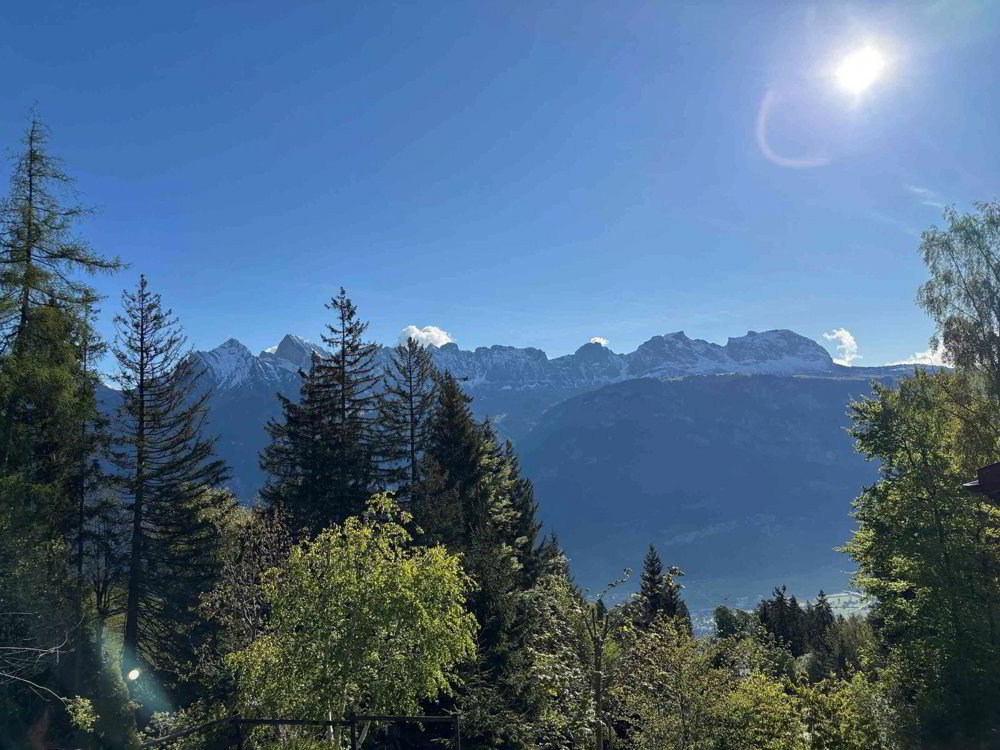 1.5 Zimmer Wohnung zum verkaufen in Flumserberg Tannenheim - Bild 1/12
