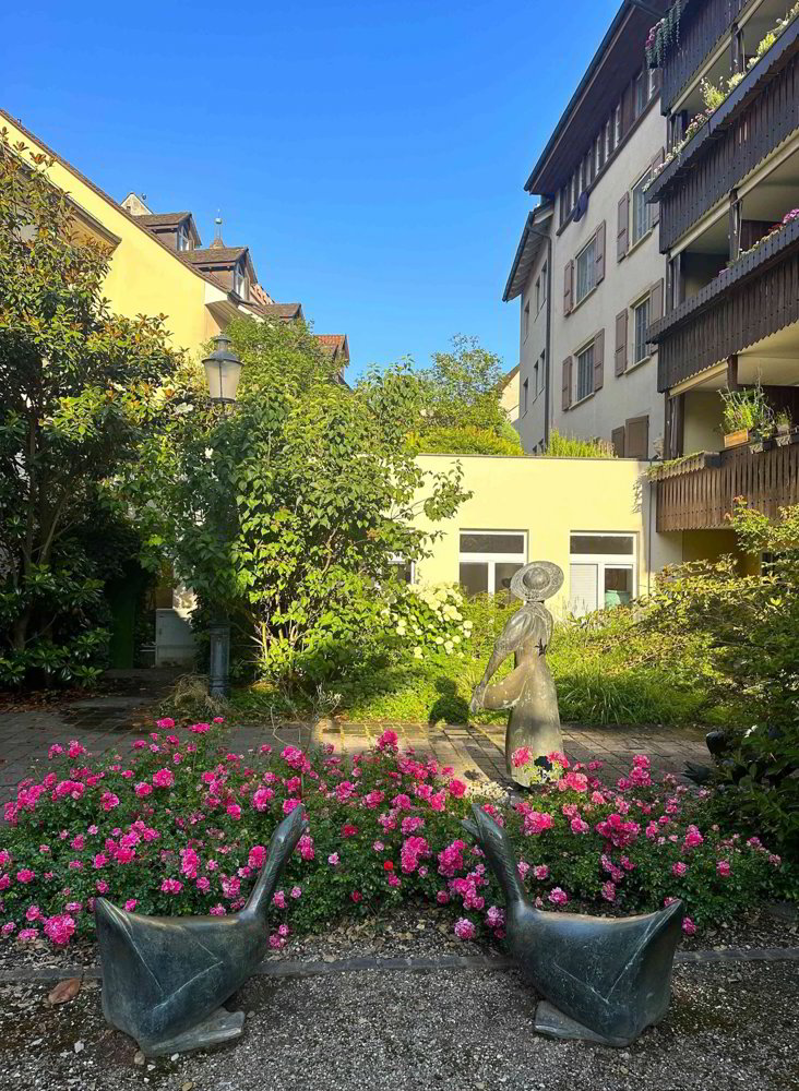 Wohnung – Rheinfelden - Mehr
