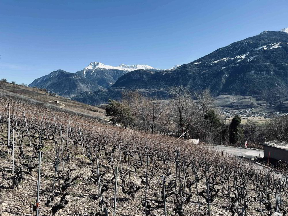 Valençon - Terrain avec projet en cours d'autorisation - Ansicht 2