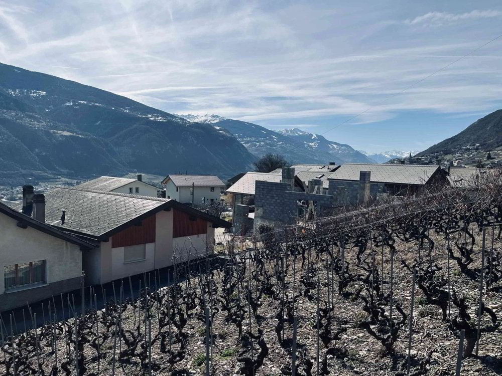 Valençon - Terrain avec projet en cours d'autorisation - Ansicht 4