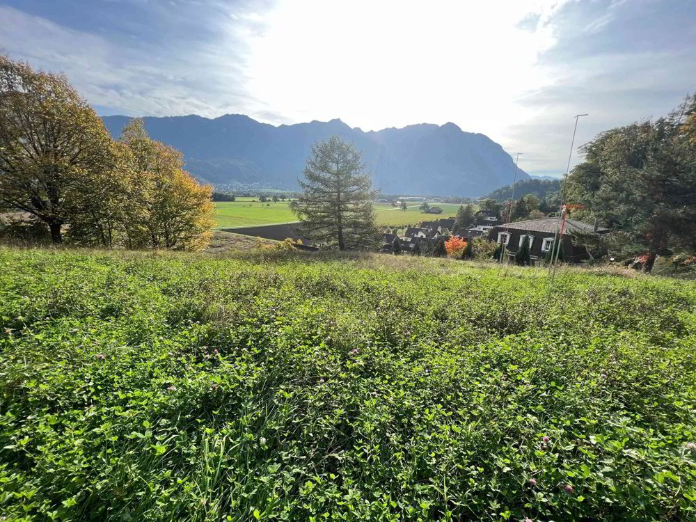 Exklusives Grundstück in idyllischer Lage – Schweiz, Sevelen Im Välsli