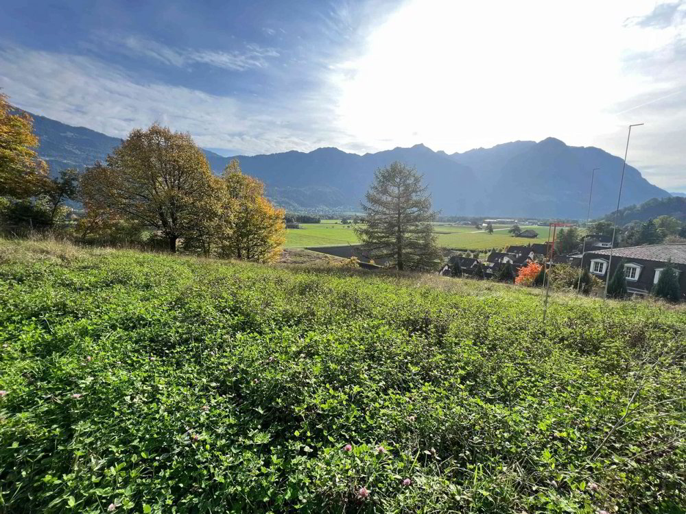 Exklusives Grundstück in idyllischer Lage – Schweiz, Sevelen Im Välsli - Ansicht 2