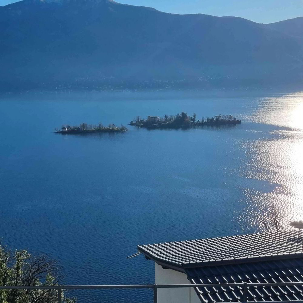 Wohnung – Ronco sopra Ascona - Ansicht 4