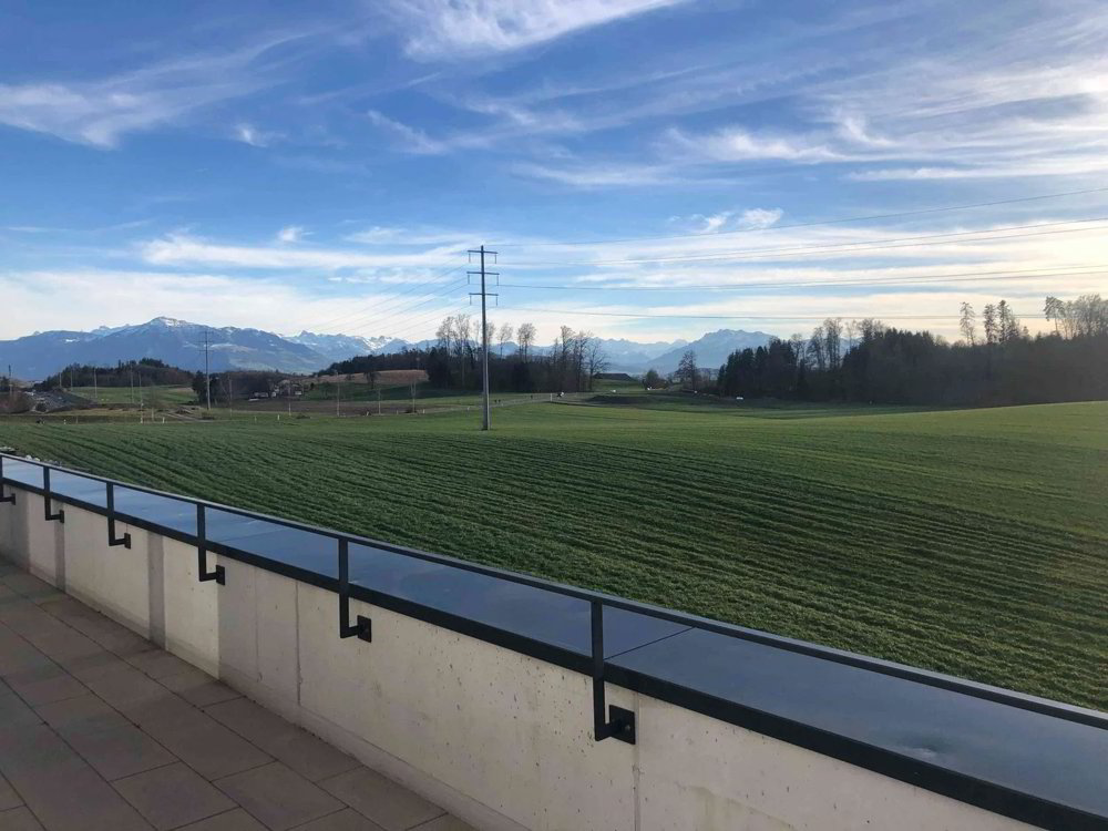 1 rooms Office & Commercial for rent in Mettmenstetten - image 1/6