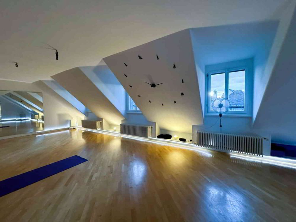 1 rooms Office & Commercial for rent in Bern - image 1/4