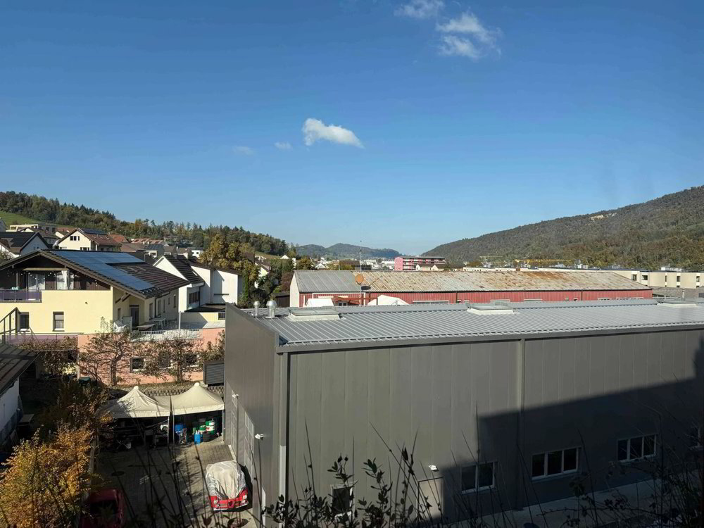 1 rooms Office & Commercial for rent in Lausen - image 1/5