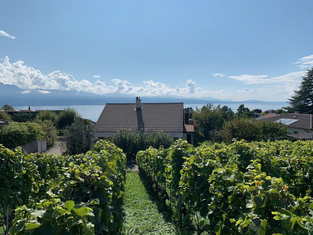 Haus – Lutry - Ansicht 2
