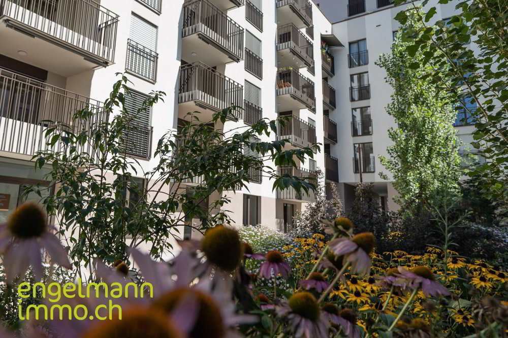 3 rooms Apartment for rent in Bienne - image 1/12